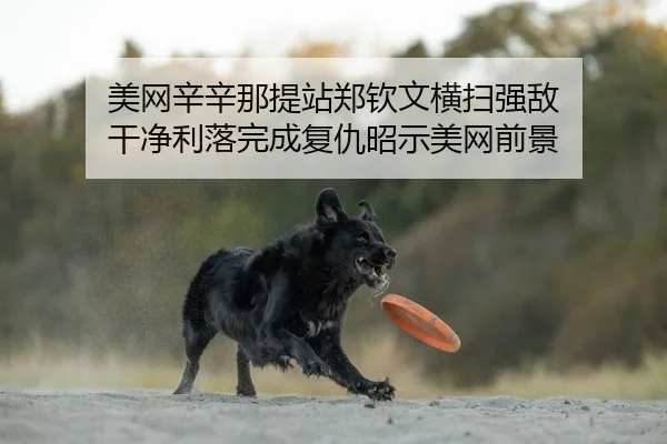 美网辛辛那提站郑钦文横扫强敌 干净利落完成复仇昭示美网前景